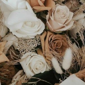 Meet your Posher, Cassandra